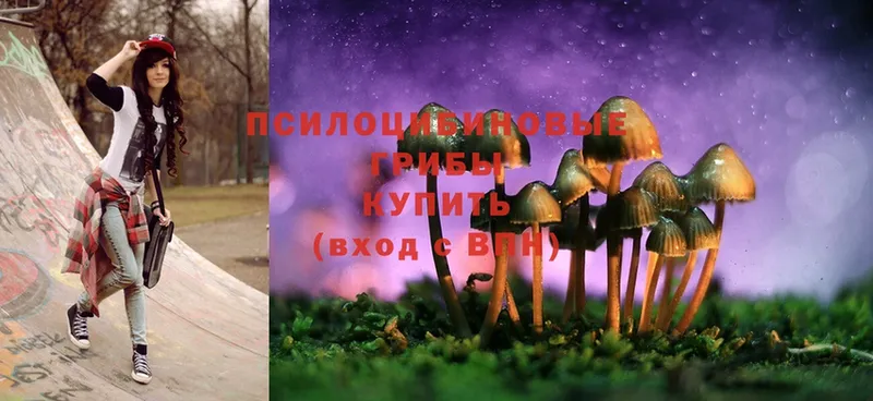 Галлюциногенные грибы Magic Shrooms  Кунгур 