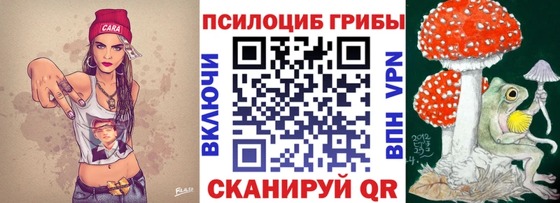 купить закладку  Кунгур  Псилоцибиновые грибы мицелий 