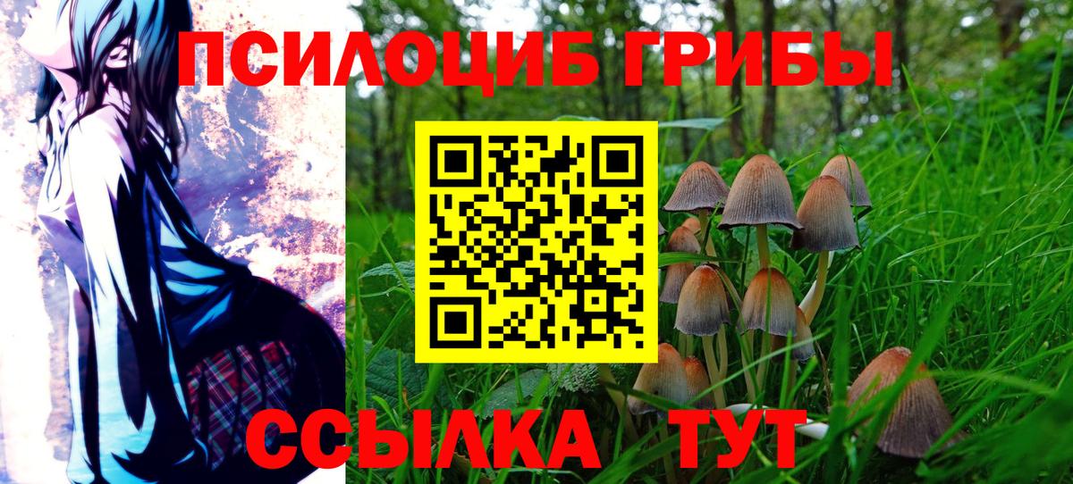 Кунгур  Псилоцибиновые грибы Psilocybe  Вход с VPN  магазин продажи наркотиков  Псилоцибиновые грибы Magic Shrooms 