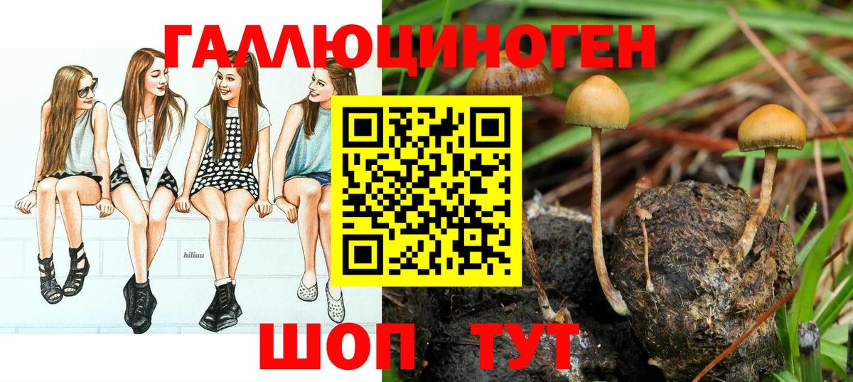 Галлюциногенные грибы Magic Shrooms Кунгур