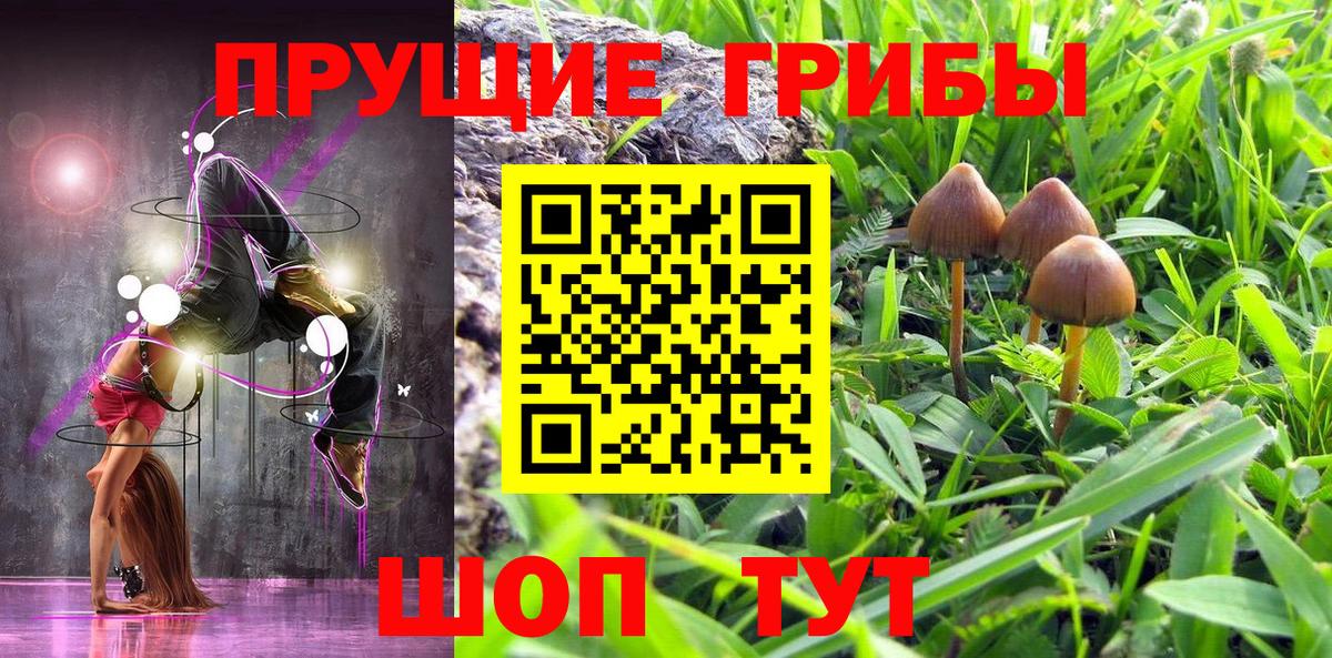 купить наркотик  Кунгур  Галлюциногенные грибы прущие грибы 